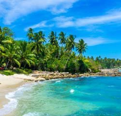 golden triangle tour with goa beaches